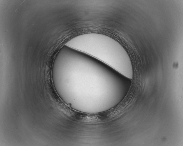 X0000096390270200801241123