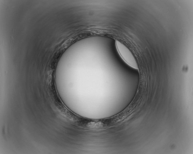 X0000096390271200801241123