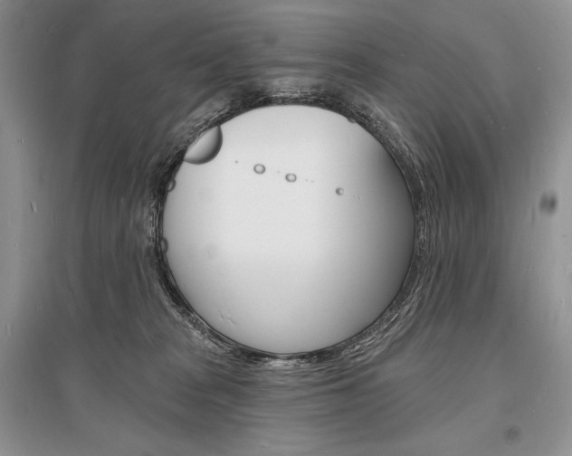 X0000096390277200801241123