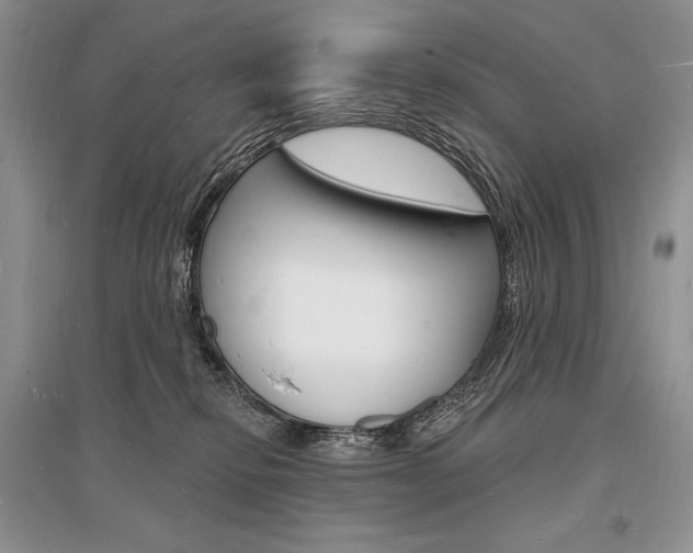 X0000096390278200801241123