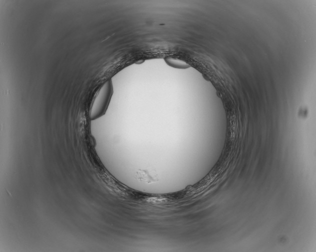X0000096390279200801241123