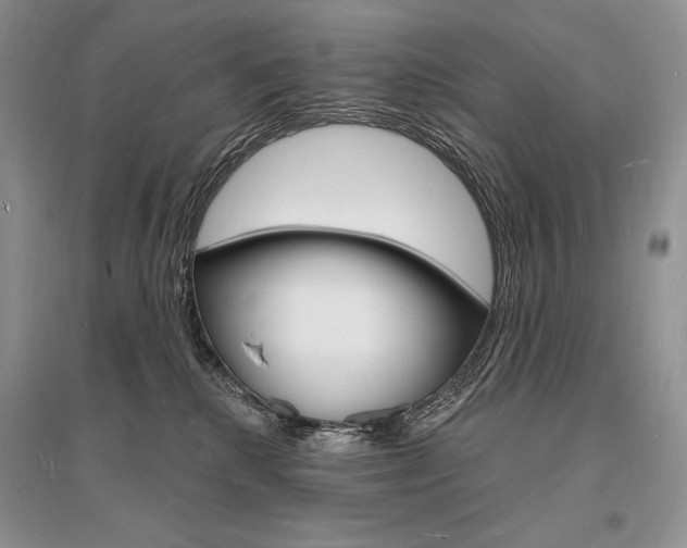 X0000096390280200801241123
