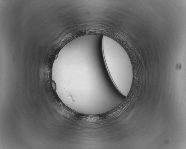 X0000096390282200801241123