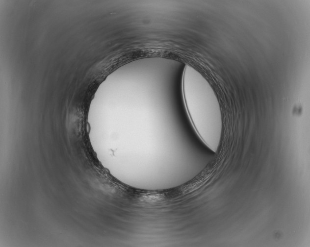 X0000096390283200801241124