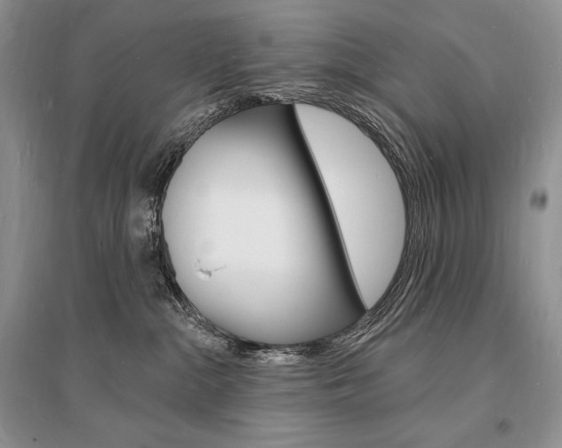X0000096390284200801241124