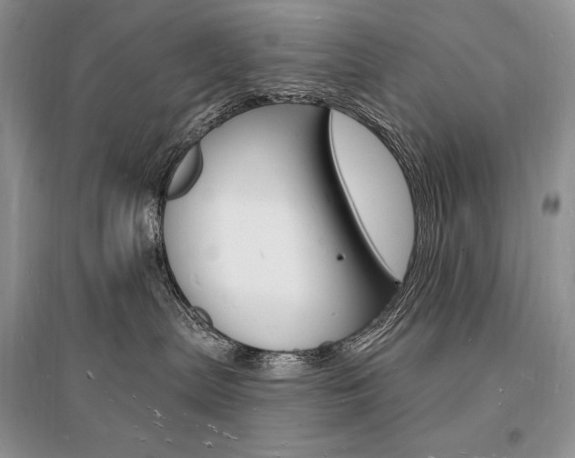 X0000096390287200801241124