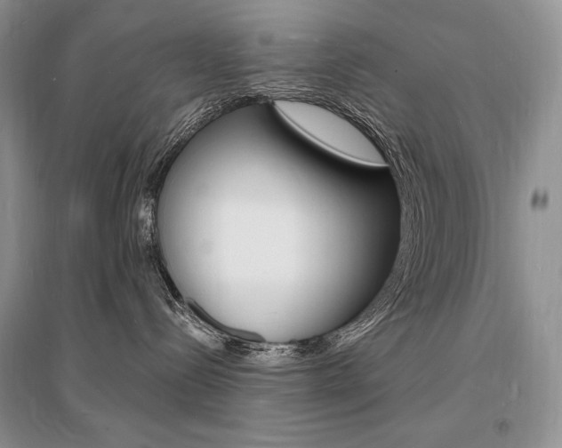 X0000096390288200801241124