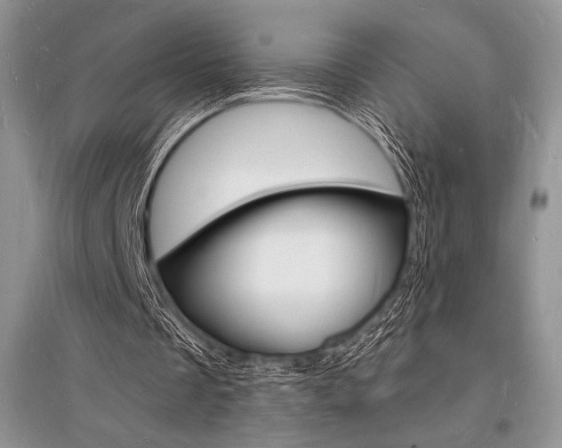 X0000096390289200801241123
