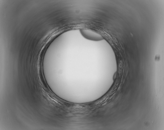 X0000096390290200801241123