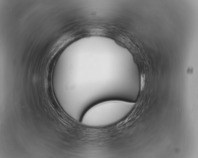 X0000096390291200801241123