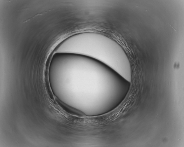 X0000096390292200801241123