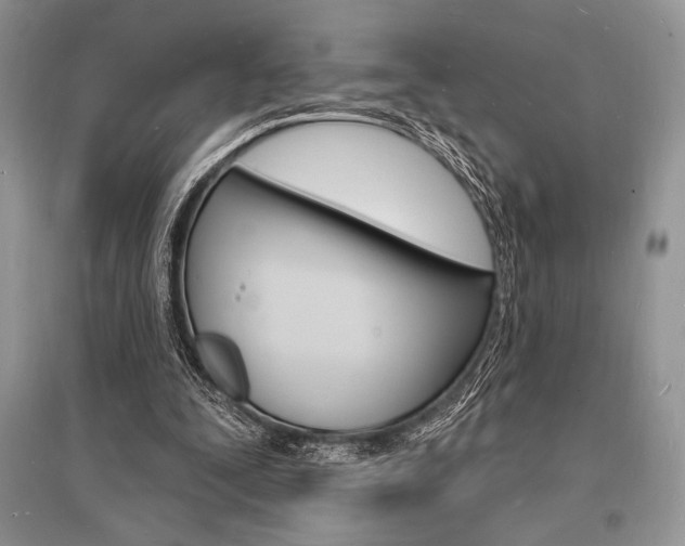 X0000096390295200801241123