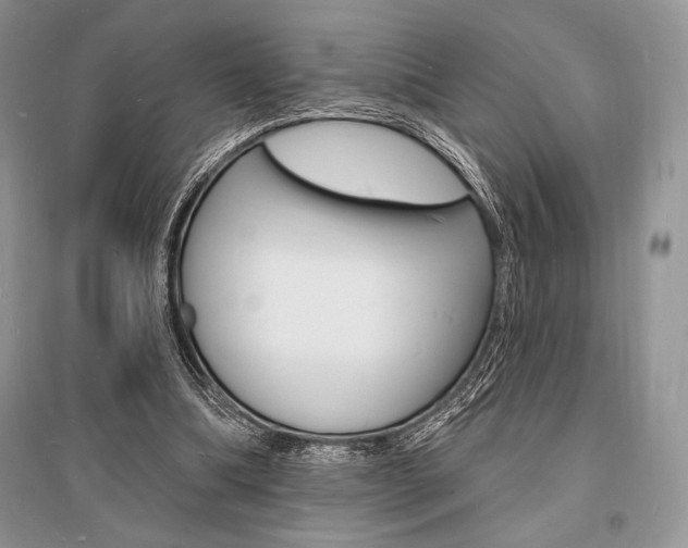 X0000096390298200801241123