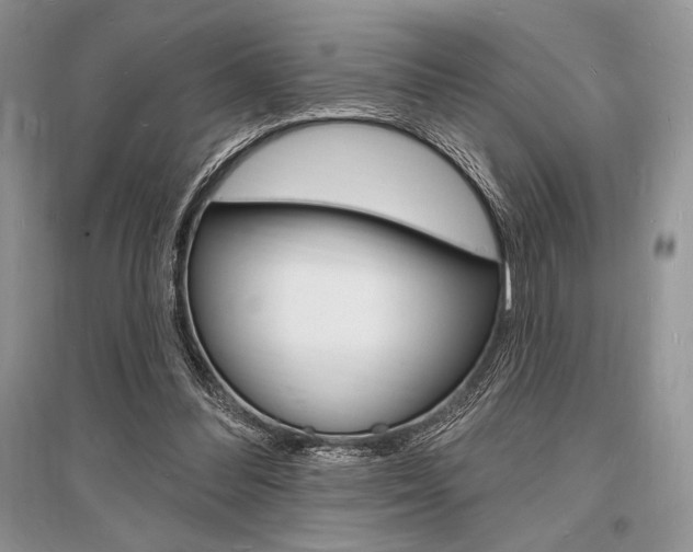 X0000096390300200801241123