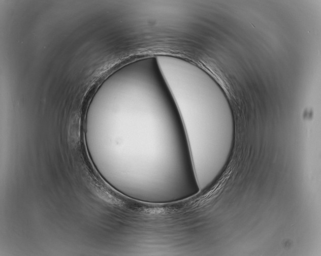 X0000096390301200801241123
