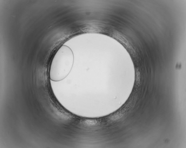 X0000096390302200801241123