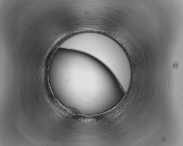 X0000096390304200801241123