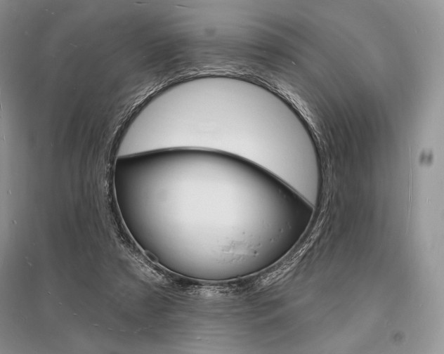 X0000096390305200801241123