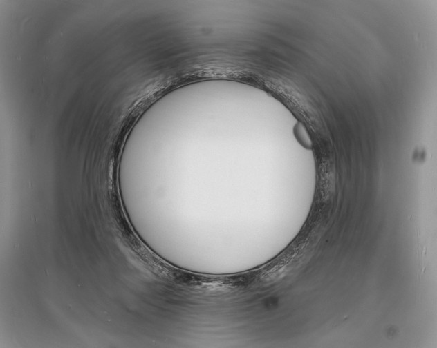 X0000096390310200801241123