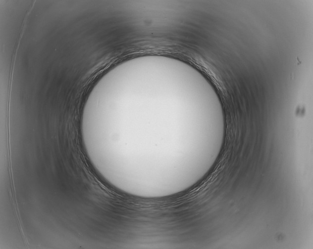 X0000096390313200801241123
