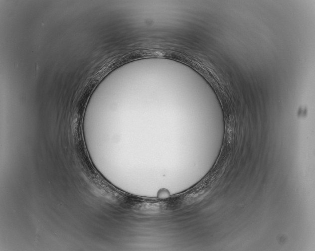 X0000096390314200801241122
