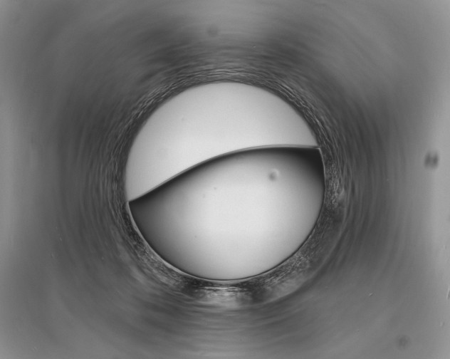 X0000096390316200801241122