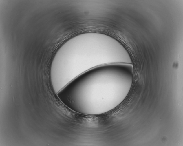 X0000096390317200801241122