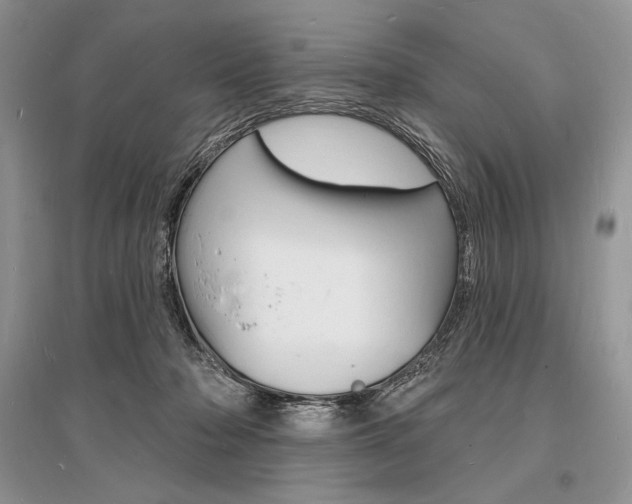X0000096390318200801241122