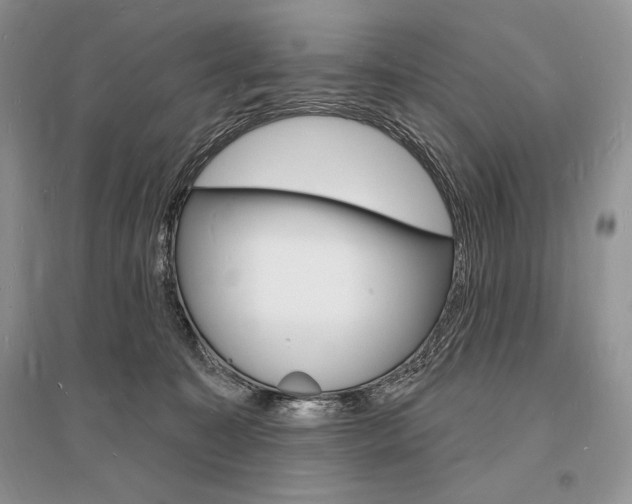 X0000096390323200801241122