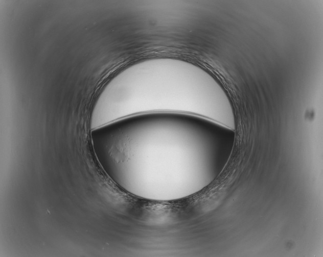 X0000096390325200801241122