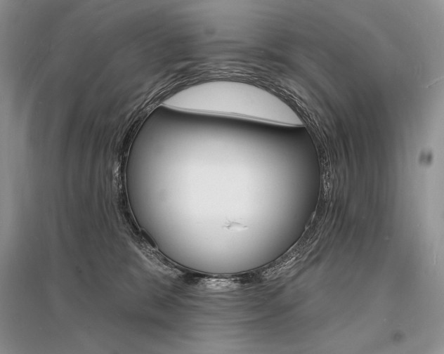 X0000096390327200801241122