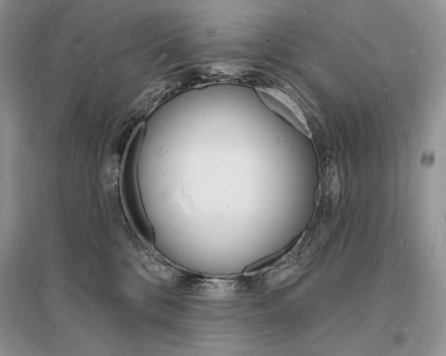 X0000096390328200801241122