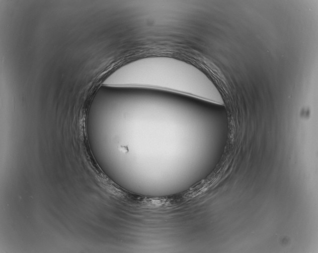 X0000096390329200801241122