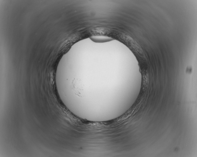 X0000096390331200801241122