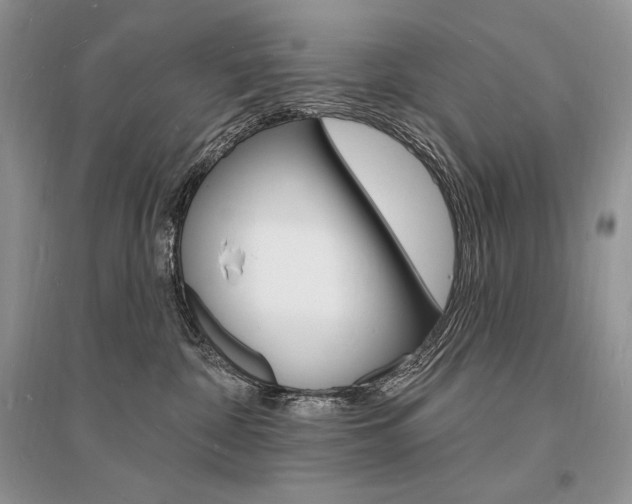 X0000096390332200801241122