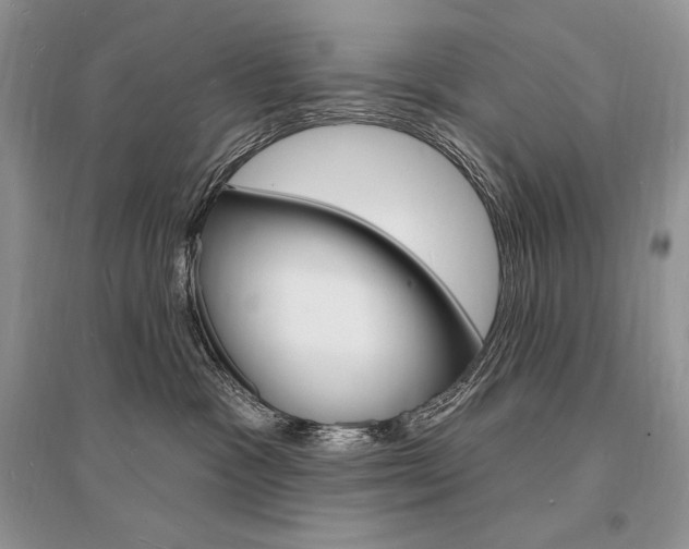 X0000096390333200801241122