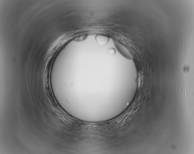 X0000096390339200801241121