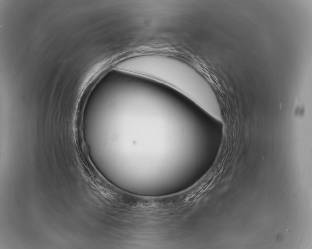 X0000096390340200801241121