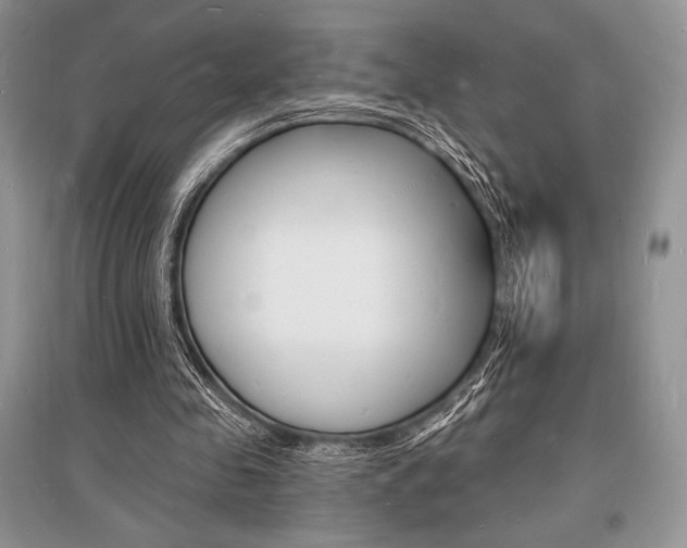 X0000096390341200801241121