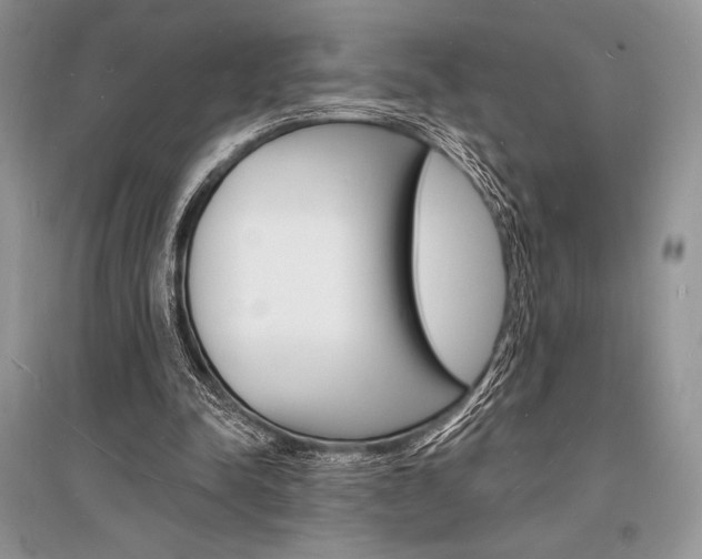 X0000096390342200801241122