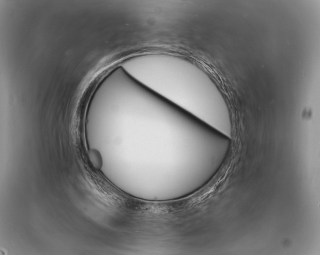 X0000096390343200801241122