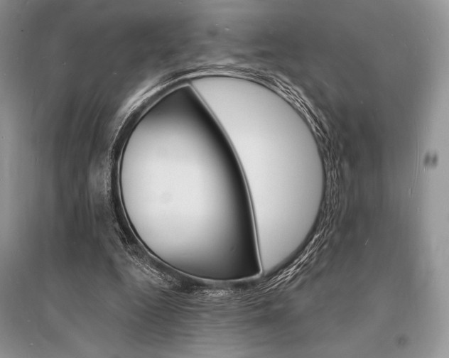 X0000096390344200801241122