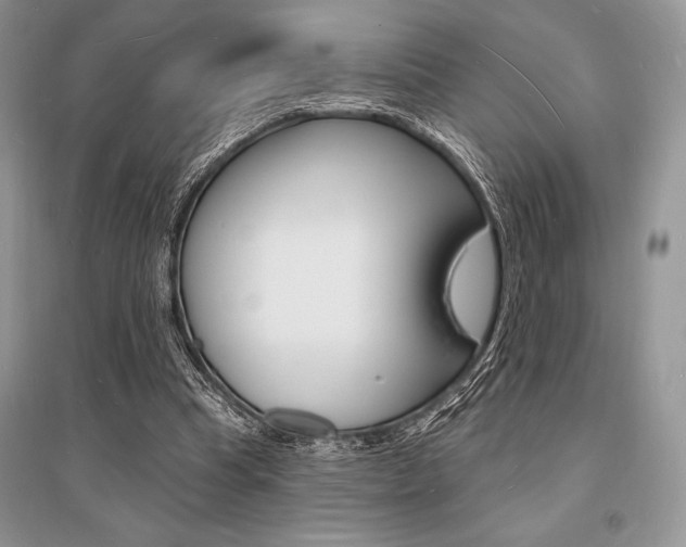 X0000096390345200801241122