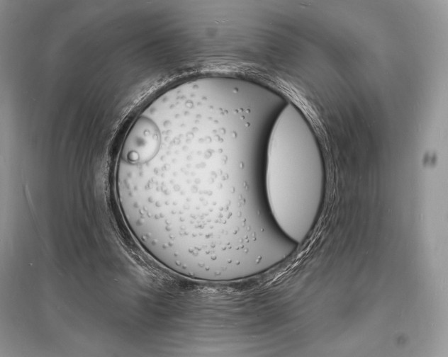 X0000096390346200801241122