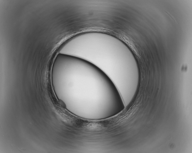 X0000096390348200801241122