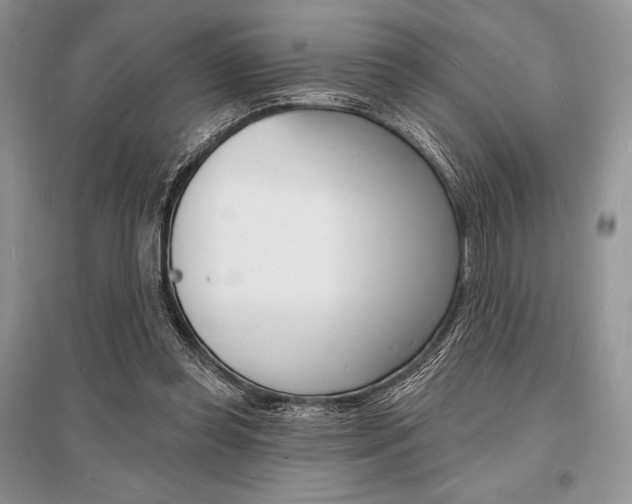 X0000096390349200801241122