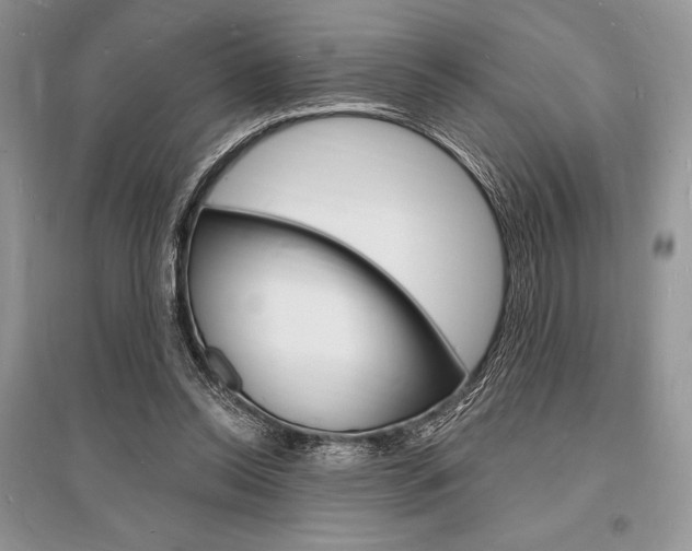X0000096390350200801241122