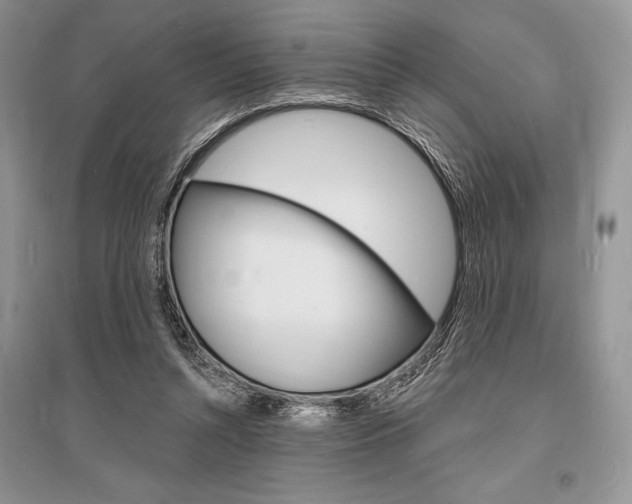 X0000096390352200801241122