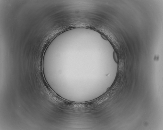 X0000096390353200801241122