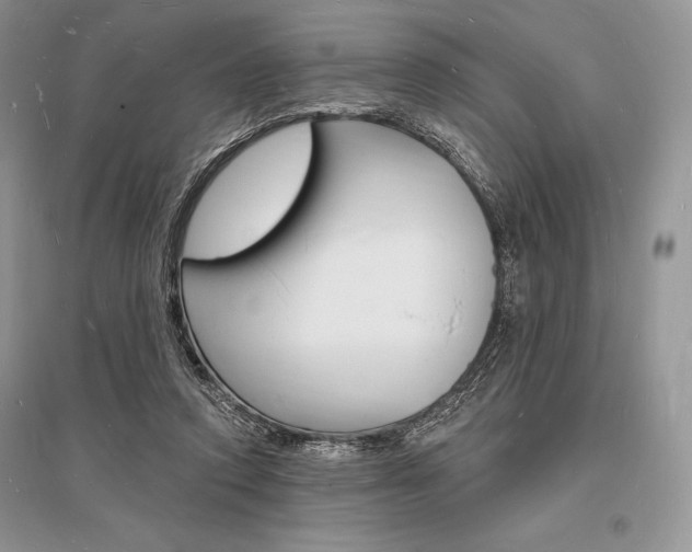 X0000096390354200801241122